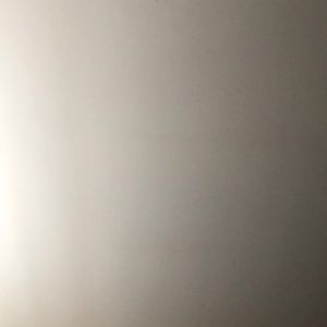 Meet your Posher, Delilah